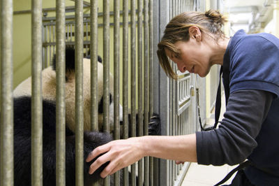探訪(fǎng)法國(guó)博瓦勒動(dòng)物園大熊貓飼養(yǎng)員團(tuán)隊(duì) 守護(hù)中法友誼的動(dòng)物守護(hù)者